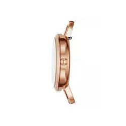 FOSSIL  ES4391